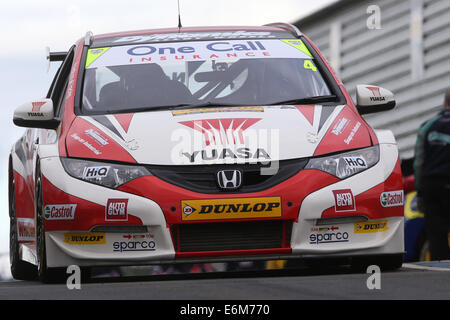 Matt Neal (GBR) Honda Yuasa Racing Team Honda Civic Tourer Stockfoto