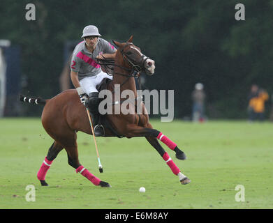 Lucas James spielt für Talandracas im Veuve Clicquot Polo Gold Cup 2013 im Cowdray Park Polo Club Stockfoto