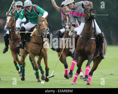 Adolfo Cambiaso (links) spielt für Dubai gegen Juan Martin Nero der Talandracas im Jahr 2013 Veuve Clicquot Polo Gold Cup Cowdray Stockfoto