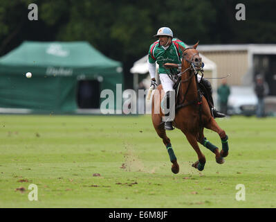 Adolfo Cambiaso spielt für Dubai gegen Talandracas im Veuve Clicquot Polo Gold Cup 2013 im Cowdray Park Polo Club Stockfoto