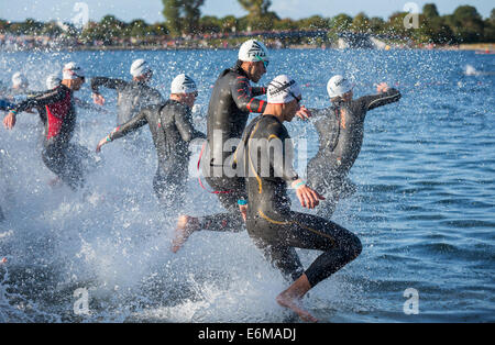 Teilnehmer des Ironman Triathlon startete das Rennen in der Brandung, Amager Strandpark, Kopenhagen, Dänemark Stockfoto