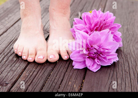 Nahaufnahme von Frau Füße und Blumen Stockfoto