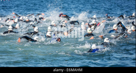 Teilnehmer des Ironman Triathlon startete das Rennen in der Brandung, Amager Strandpark, Kopenhagen, Dänemark Stockfoto