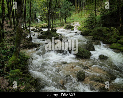 Cascades de Herisson, Jura, Frankreich Stockfoto