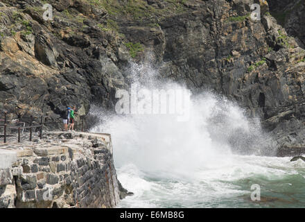 Mullion Cove Lizard Halbinsel Cornwall England UK Stockfoto