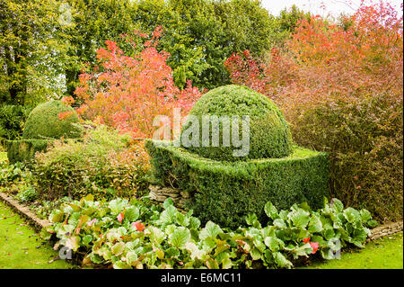 Hecke in The Courts Garten Wiltshire UK Stockfoto