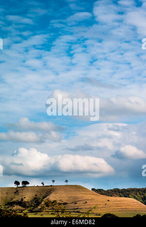 Ein Wiltshire Himmel über den North Wessex Downs in der Nähe von Devizes Stockfoto