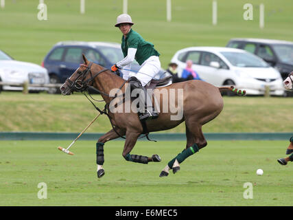 James Beim der Salkeld spielt bei Veuve Clicquot Polo Gold Cup 2013 im Cowdray Park Polo Club Stockfoto