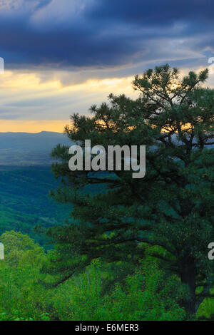 Mountain Pass Overlook, Shenandoah-Nationalpark, Virginia, USA Stockfoto