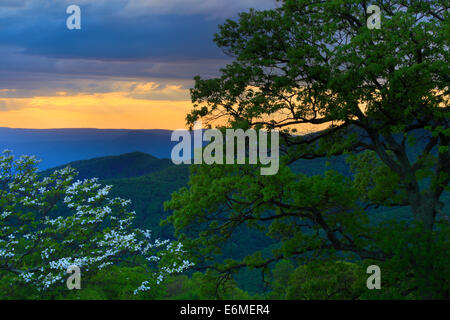 Mountain Pass Overlook, Shenandoah-Nationalpark, Virginia, USA Stockfoto