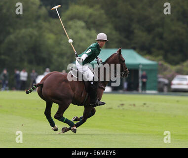 James Beim der Salkeld spielt bei Veuve Clicquot Polo Gold Cup 2013 im Cowdray Park Polo Club Stockfoto