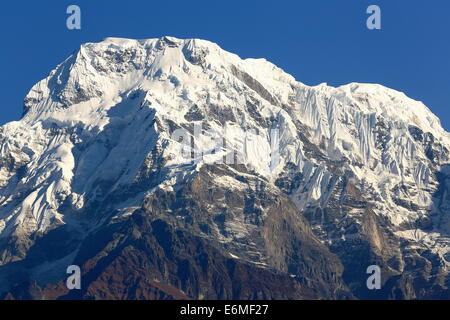 7219 ms. Annapurna South Peak am Morgen gesehen von Landruk Dorf Annapurnas Tour trekking-Route durch den Himalaya. Stockfoto