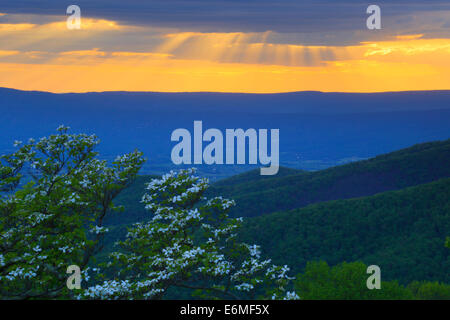 Mountain Pass Overlook, Shenandoah-Nationalpark, Virginia, USA Stockfoto