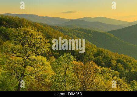 Sunrise, Marys Rock Tunnel Overlook, Shenandoah-Nationalpark, Virginia, USA Stockfoto