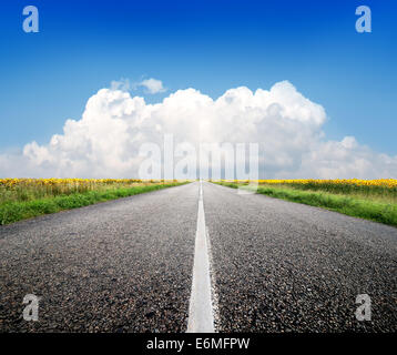 Autobahn durch das Feld von Sonnenblumen und blauer Himmel Stockfoto