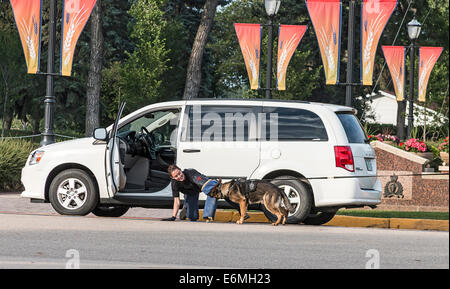 Polizeihund Umgang mit Demonstration, wo der Hund einen Verdächtigen bei der Sunset-Retreat-Zeremonie an RCMP Akademie, Regina dämpft Stockfoto