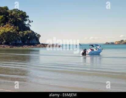 Anhänger-Bootsliegeplatz aus Sandstrand, Oneroa, Waiheke Island, Auckland New Zealand Stockfoto