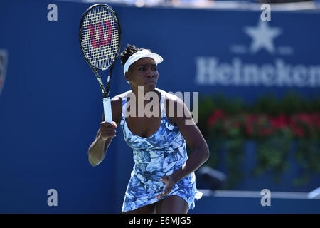 25.08.2014. US öffnen Sie 2013, USTA Billie Jean King National Tennis Center, Flushing Meadows, New York, ITF Grand-Slam-Tennis-Turnier. Venus Williams (USA) Stockfoto