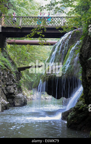 Bukarest, Rumänien. 26. August 2014. Touristen sehen Bigar Wasserfall in Caras-Severin, Südwesten Rumäniens, 26. August 2014. Bigar ist eines der ungewöhnlichsten Wasserfälle der Welt und eines der schönsten in Rumänien. Laut der Welt Geographie-Website gibt es eine Reihe von Fakten, die es als Nummer eins auf der Liste der acht einzigartige Wasserfälle auf der ganzen Welt durch die Art und Weise das Wasser breitet sich und fällt in winzige Fetzen von Wasser zu platzieren. © Lin Huifen/Xinhua/Alamy Live-Nachrichten Stockfoto