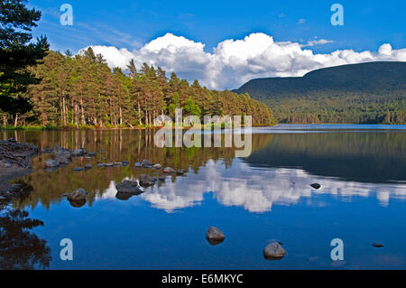 Föhren, Berge und Himmel spiegelt sich in Loch ein Eilein, Rothiemurchus, beruhigen Sommerabend, Cairngorms, den Highlands Schottland Stockfoto