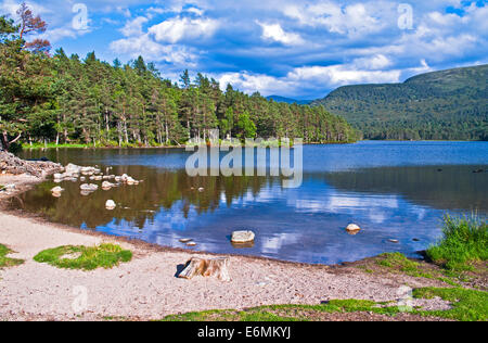 Föhren, Berge und Himmel spiegelt sich in Loch ein Eilein, Rothiemurchus, beruhigen Sommerabend, Cairngorms, den Highlands Schottland Stockfoto