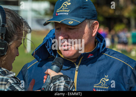 Sydney, Australien. 27. August 2014. Wallabys Trainer Andrew Blade spricht zu den Medien auf der 2014 Bingham Cup Trainingseinheit mit NSW Waratah kombiniert coacht, Playe Credit: MediaServicesAP/Alamy Live News Stockfoto