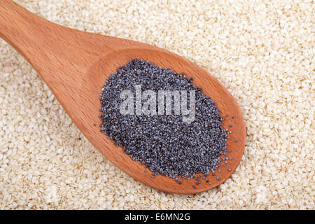 Mohn in einem Holzlöffel auf Sesam-Samen-Hintergrund. Closeup. Stockfoto