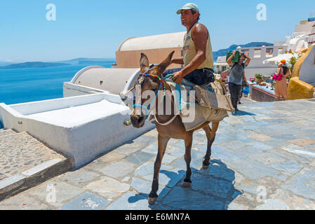 OIA, SANTORINI, Griechenland - 22. Juli 2014: Mann reitet auf einen Esel durch heißes Wetter in Oia, Santorini, Greece.The Touristen werden tra Stockfoto