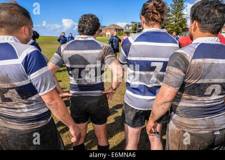 Sydney, Australien. 27. August 2014.  Die 2014 Bingham Cup startete mit einer kombinierten Trainingseinheit mit NSW Waratah Trainern, Spielern und Wallabies coach Andrew Blade vor dem Start des Wettbewerbs. Bildnachweis: MediaServicesAP/Alamy Live-Nachrichten Stockfoto