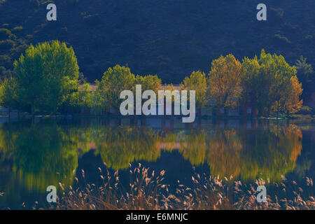 Ruidera Lagunen, Lagunas de Ruidera Natural Park, Campo de Montiel, Spanien Stockfoto