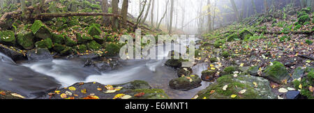 Stream mit moosbewachsenen Basaltsteinen und umgestürzten Baumstämme, Hoher Westerwald, Hessen, Deutschland Stockfoto