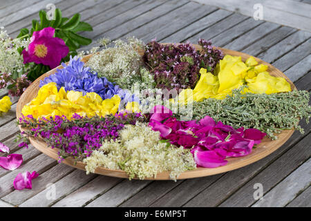 Blütenteller, Blüten, Blumen, Kräuter, Kräuter Sammeln, Kräuterernte, Blütenblätter Auf Einem Teller Sortiert Zum Trocknen, Essb Stockfoto