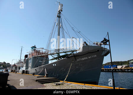 Walfangschiff Southern Actor in Sandefjord, Norwegen. Heute ist es ein Museumsschiff. Unbebaut 1968 Sandefjord war das Zentrum des Walfangs in Norwegen. Der Walfang brachte Wohlstand.  Foto: Klaus Nowottnick Datum: 7. Juni 2014 Stockfoto