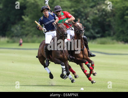 Spieler für Sumaya und Lucchese Polo Teams im 2013 Veuve Clicquot Polo Gold Cup Cowdray Polo Polo club Stockfoto