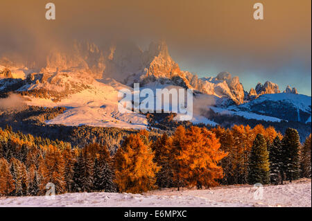 Pale di San Martino Bureloni, la Vezzana, il Cimon della Pala, l'Altopiano, la Pala di San Martino, la Rosetta Stockfoto