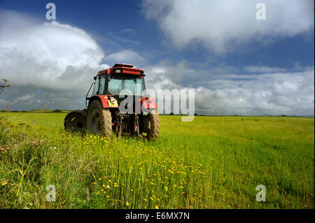 Traktor im Feld mit Mais Marigold und geruchlos mayweed Stockfoto