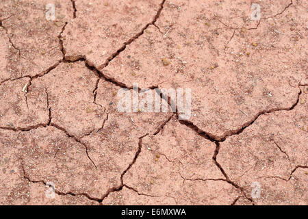 Nahaufnahme der Bodentextur Boden trocken dracked Stockfoto