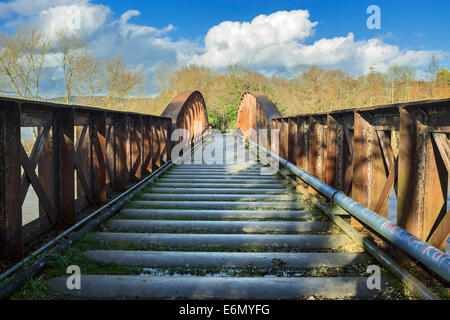 Eisenbahnviadukt Stahlträger Wye Valley in Monmouth, South Wales. Stockfoto