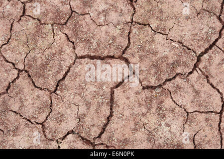 Nahaufnahme der Bodentextur Boden trocken dracked Stockfoto