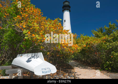 GELBES MEER TRAUBEN SCHLÜSSEL BISCAYNE LEUCHTTURM BILL BAGGS CAPE FLORIDA STATE PARK KEY BISCAYNE MIAMI FLORIDA USA Stockfoto
