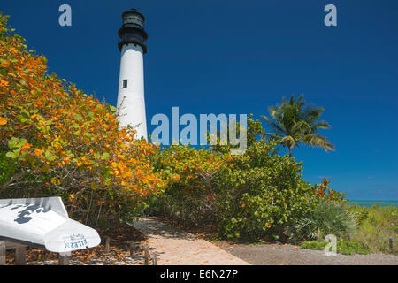 GELBES MEER TRAUBEN SCHLÜSSEL BISCAYNE LEUCHTTURM BILL BAGGS CAPE FLORIDA STATE PARK KEY BISCAYNE MIAMI FLORIDA USA Stockfoto