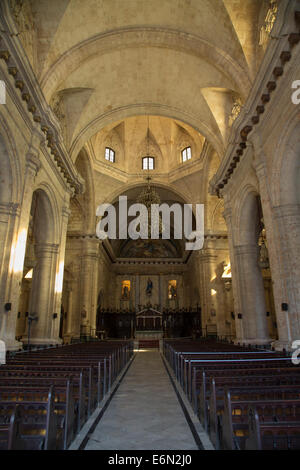 Kirchenschiff, Kathedrale der Jungfrau Maria der Unbefleckten Empfängnis, Havanna, Kuba Stockfoto