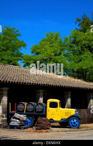 Bodegas Tio Pepe, Jerez De La Frontera, Provinz Cadiz, Andalusien, Spanien, Süd-West-Europa Stockfoto