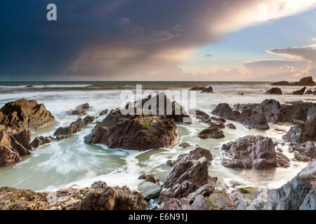 Felsenküste am Ayrmer Cove in South Hams, South Devon, England, Vereinigtes Königreich, Europa. Stockfoto