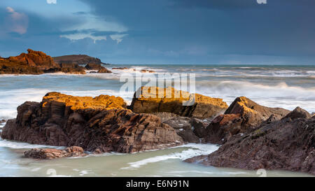 Felsenküste am Ayrmer Cove in South Hams, South Devon, England, Vereinigtes Königreich, Europa. Stockfoto