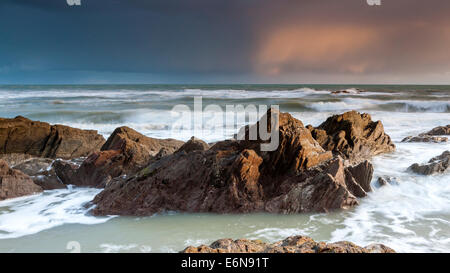 Felsenküste am Ayrmer Cove in South Hams, South Devon, England, Vereinigtes Königreich, Europa. Stockfoto