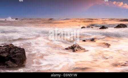 Felsenküste am Ayrmer Cove in South Hams, South Devon, England, Vereinigtes Königreich, Europa. Stockfoto