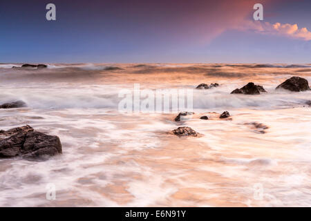 Felsenküste am Ayrmer Cove in South Hams, South Devon, England, Vereinigtes Königreich, Europa. Stockfoto