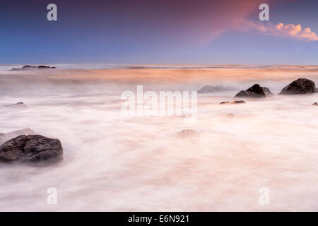 Felsenküste am Ayrmer Cove in South Hams, South Devon, England, Vereinigtes Königreich, Europa. Stockfoto