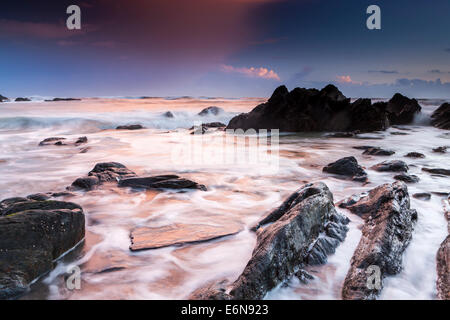 Felsenküste am Ayrmer Cove in South Hams, South Devon, England, Vereinigtes Königreich, Europa. Stockfoto